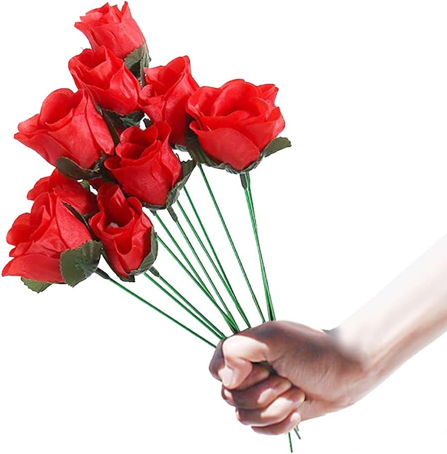 Rose Magique - De la Torche à la Rose
