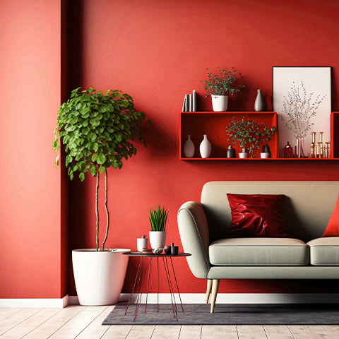 Utensílios Domésticos & Cozinha