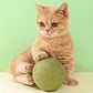 🤩Énormes boules d'herbe à chat🤩