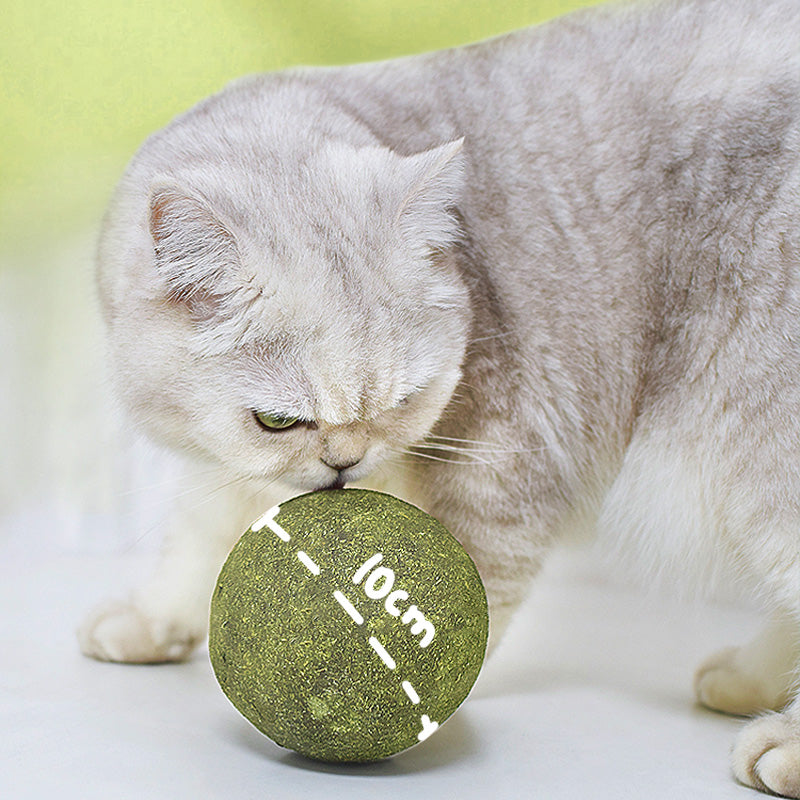 🤩Énormes boules d'herbe à chat🤩