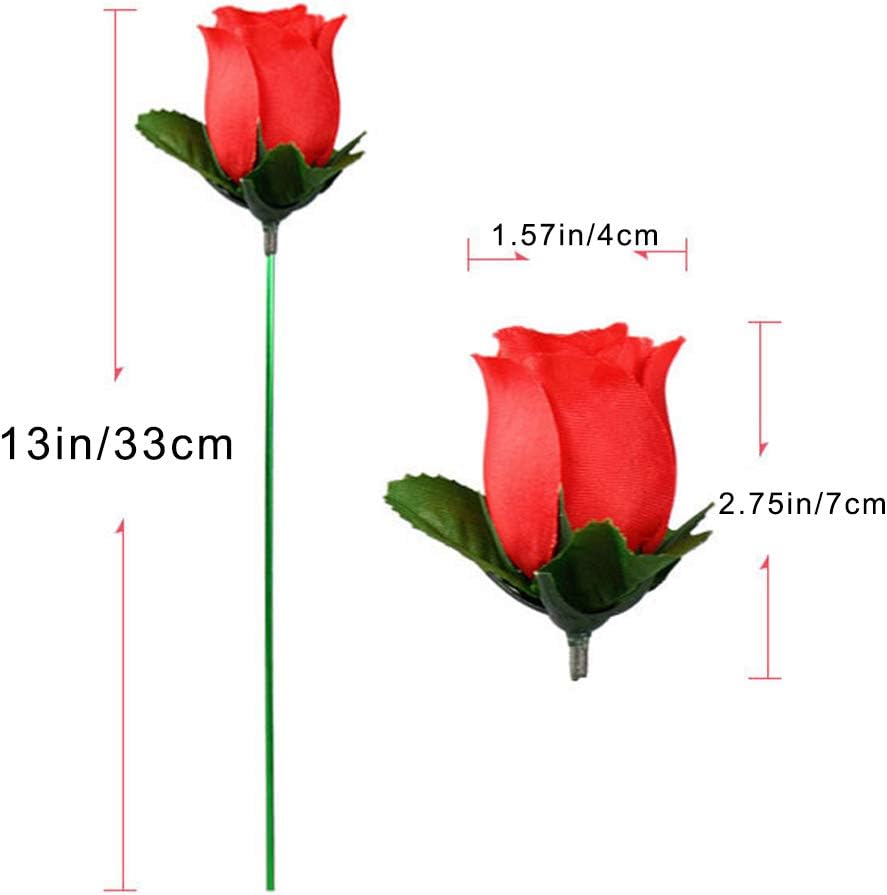 Rose Magique - De la Torche à la Rose